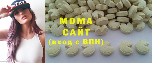 хмурый Аркадак