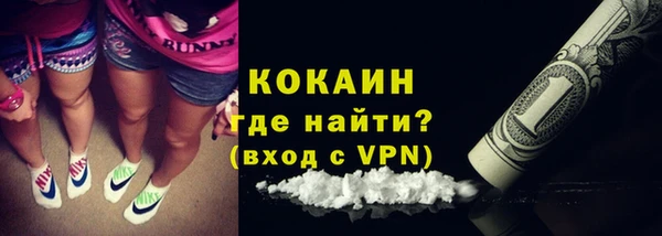 шишки Армянск