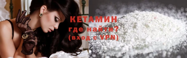 хмурый Аркадак
