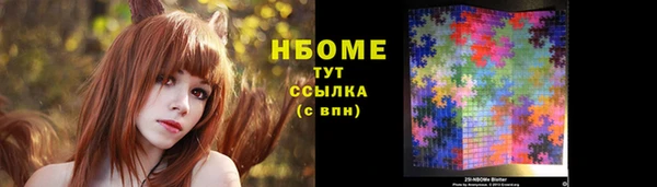 хмурый Аркадак
