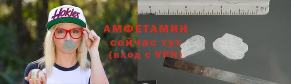 шишки Армянск