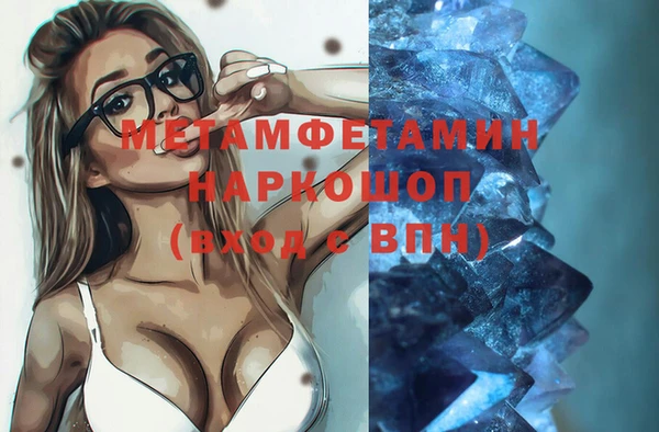 хмурый Аркадак