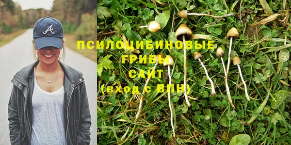 шишки Армянск