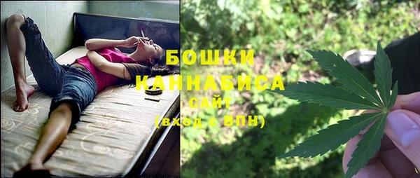 хмурый Аркадак