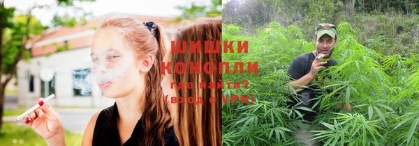шишки Армянск