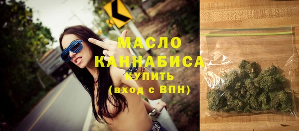 хмурый Аркадак