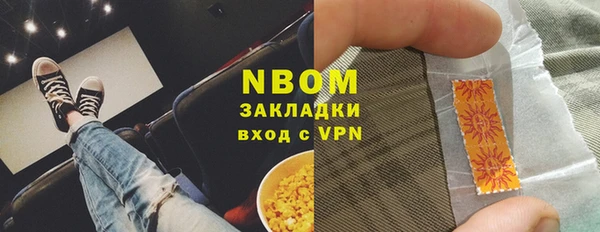 хмурый Аркадак