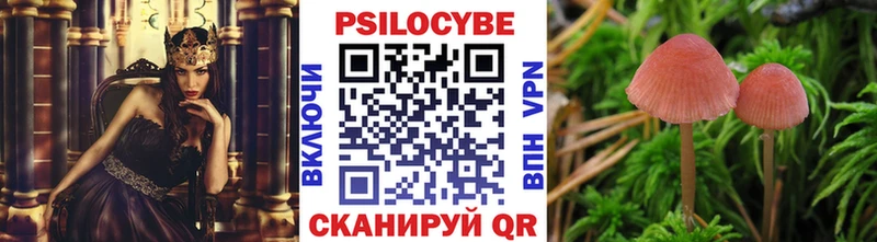 Купить  Набережные Челны  Псилоцибиновые грибы мицелий 